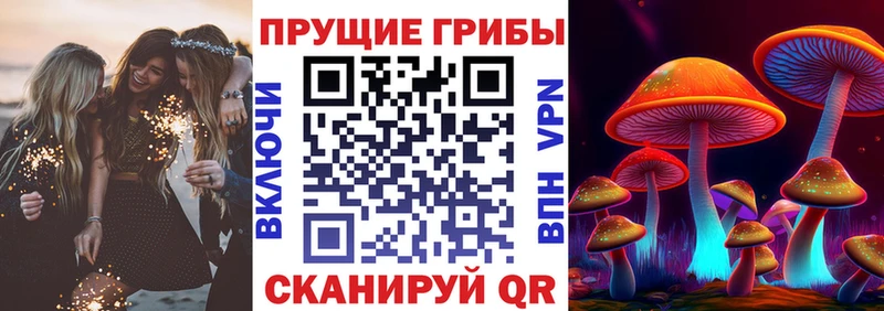 Псилоцибиновые грибы Cubensis  Ковров 